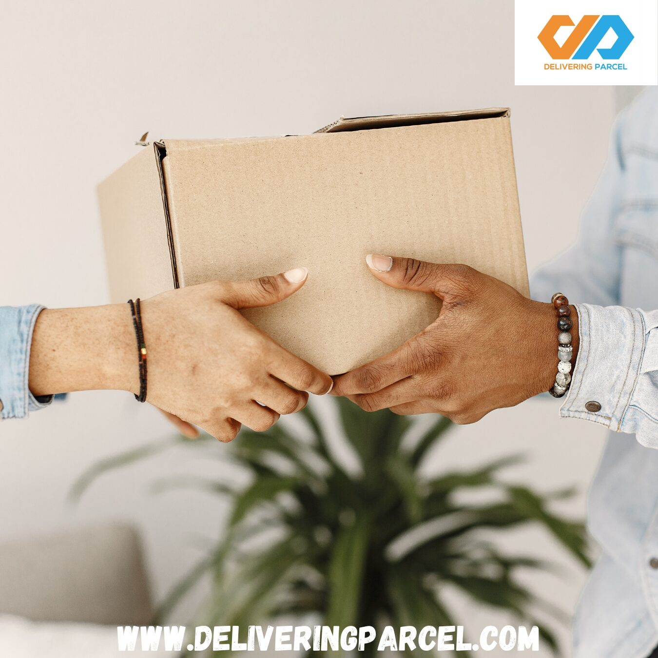 Goat of package reshipper and parcel forwarder