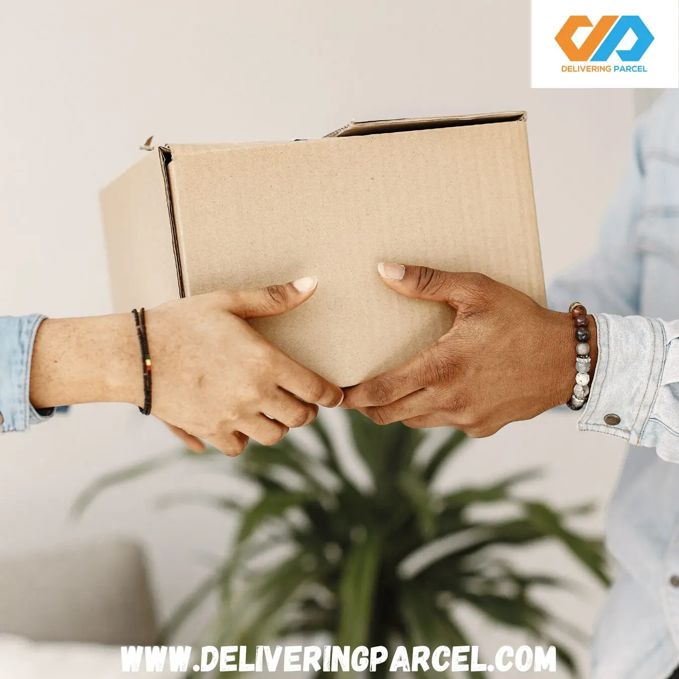 Goat of package reshipper and parcel forwarder